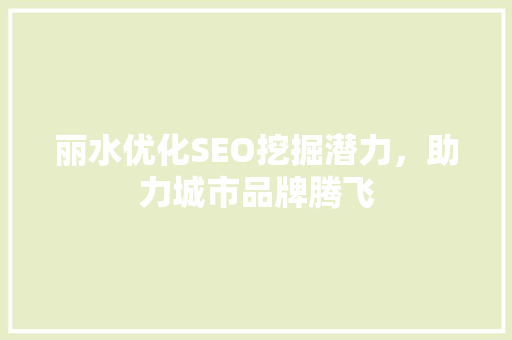 丽水优化SEO挖掘潜力，助力城市品牌腾飞