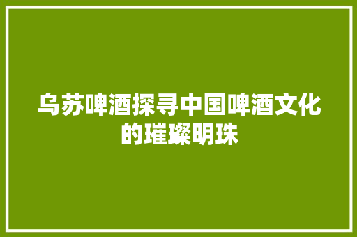 乌苏啤酒探寻中国啤酒文化的璀璨明珠