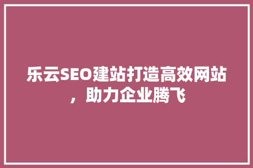 乐云SEO建站打造高效网站，助力企业腾飞