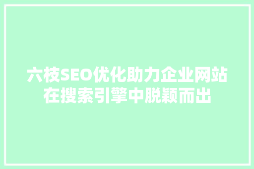 六枝SEO优化助力企业网站在搜索引擎中脱颖而出