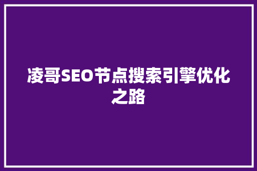 凌哥SEO节点搜索引擎优化之路