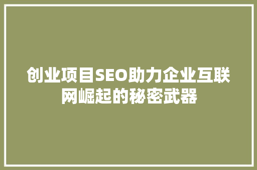 创业项目SEO助力企业互联网崛起的秘密武器