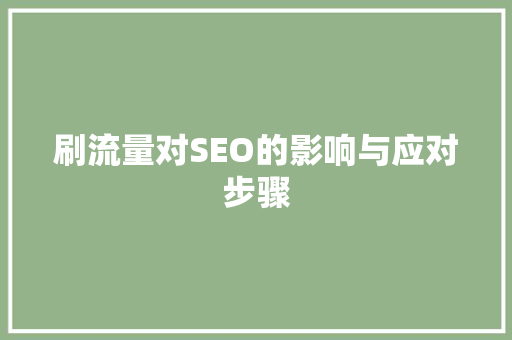 刷流量对SEO的影响与应对步骤