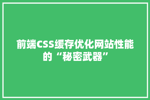 前端CSS缓存优化网站性能的“秘密武器”