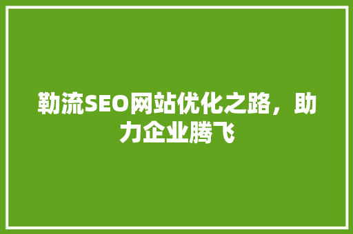 勒流SEO网站优化之路，助力企业腾飞