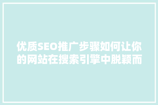 优质SEO推广步骤如何让你的网站在搜索引擎中脱颖而出
