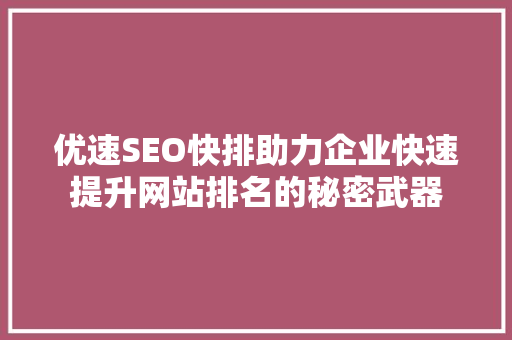 优速SEO快排助力企业快速提升网站排名的秘密武器