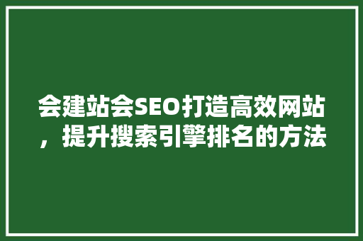 会建站会SEO打造高效网站，提升搜索引擎排名的方法