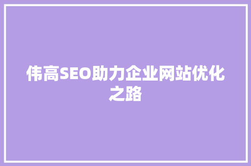 伟高SEO助力企业网站优化之路