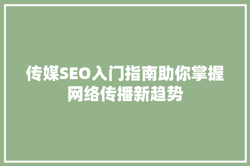传媒SEO入门指南助你掌握网络传播新趋势