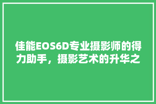 佳能EOS6D专业摄影师的得力助手，摄影艺术的升华之作