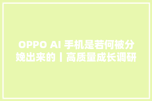 OPPO AI 手机是若何被分娩出来的丨高质量成长调研行