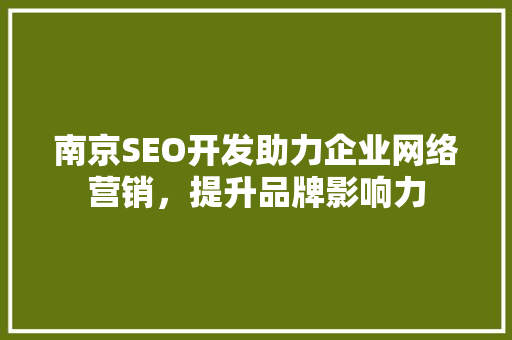 南京SEO开发助力企业网络营销，提升品牌影响力