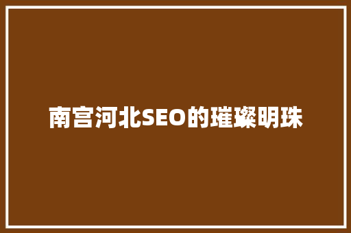 南宫河北SEO的璀璨明珠