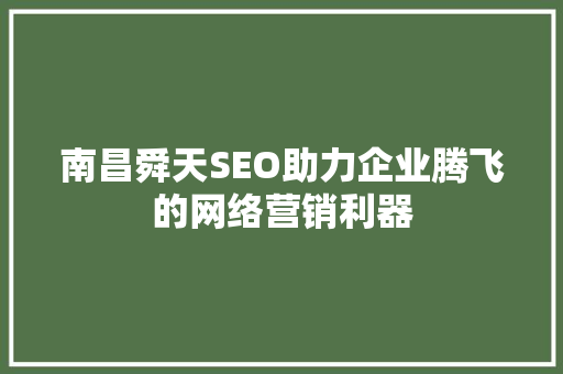 南昌舜天SEO助力企业腾飞的网络营销利器