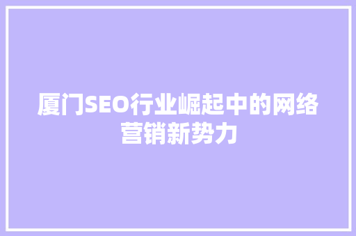 厦门SEO行业崛起中的网络营销新势力