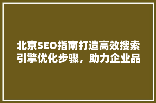 北京SEO指南打造高效搜索引擎优化步骤，助力企业品牌腾飞