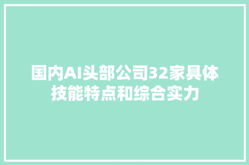 国内AI头部公司32家具体技能特点和综合实力