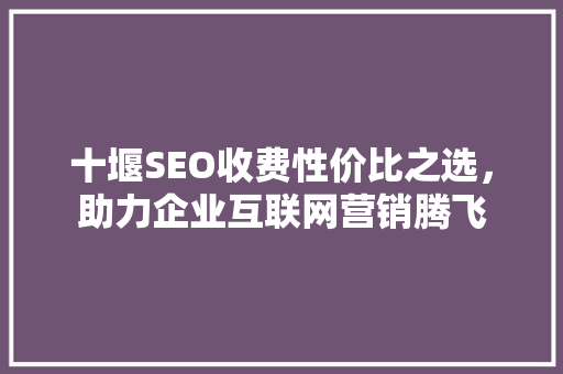十堰SEO收费性价比之选，助力企业互联网营销腾飞