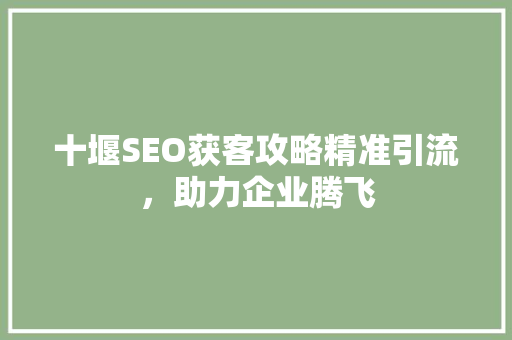 十堰SEO获客攻略精准引流，助力企业腾飞
