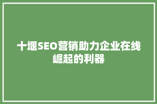 十堰SEO营销助力企业在线崛起的利器