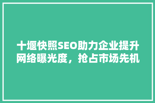 十堰快照SEO助力企业提升网络曝光度，抢占市场先机