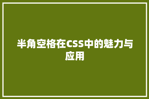 半角空格在CSS中的魅力与应用