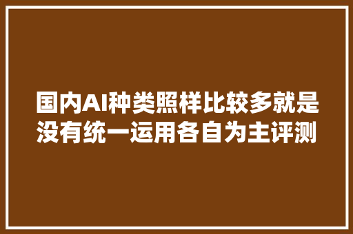 国内AI种类照样比较多就是没有统一运用各自为主评测第一