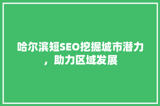 哈尔滨短SEO挖掘城市潜力，助力区域发展