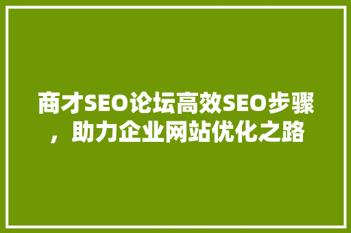 商才SEO论坛高效SEO步骤，助力企业网站优化之路