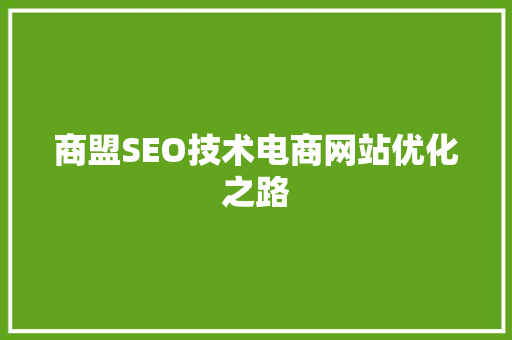 商盟SEO技术电商网站优化之路