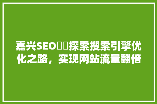 嘉兴SEO囧囧探索搜索引擎优化之路，实现网站流量翻倍增长