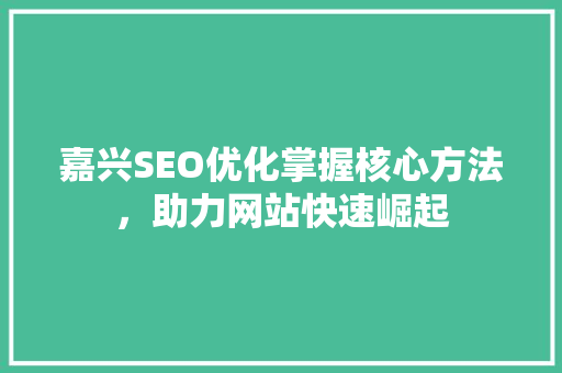 嘉兴SEO优化掌握核心方法，助力网站快速崛起
