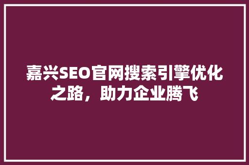 嘉兴SEO官网搜索引擎优化之路，助力企业腾飞
