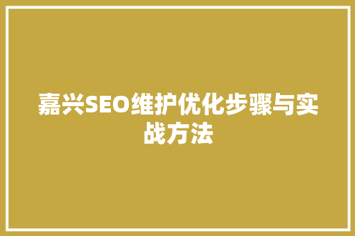 嘉兴SEO维护优化步骤与实战方法