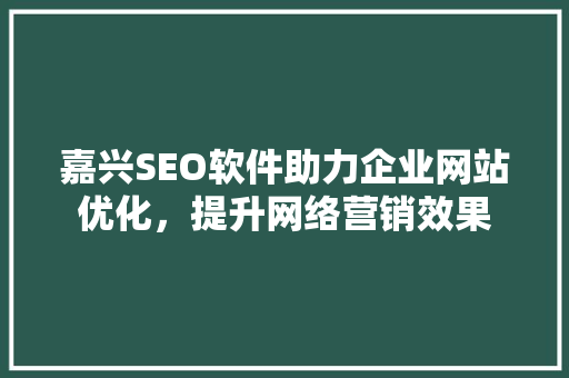 嘉兴SEO软件助力企业网站优化，提升网络营销效果
