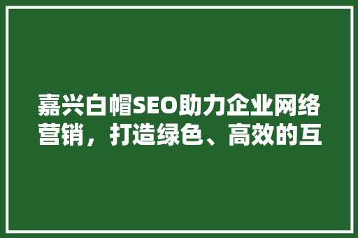 嘉兴白帽SEO助力企业网络营销，打造绿色、高效的互联网品牌