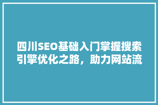 四川SEO基础入门掌握搜索引擎优化之路，助力网站流量提升