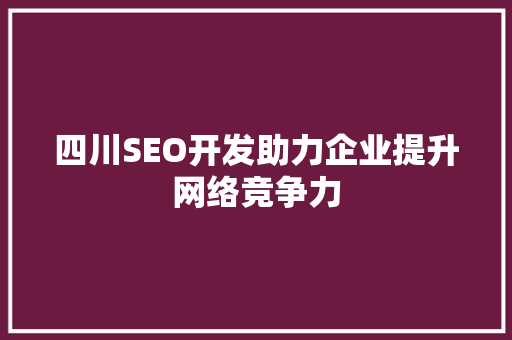 四川SEO开发助力企业提升网络竞争力