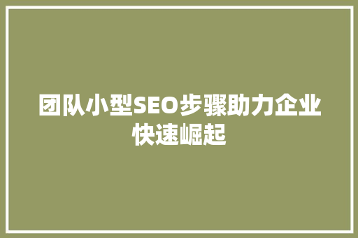 团队小型SEO步骤助力企业快速崛起