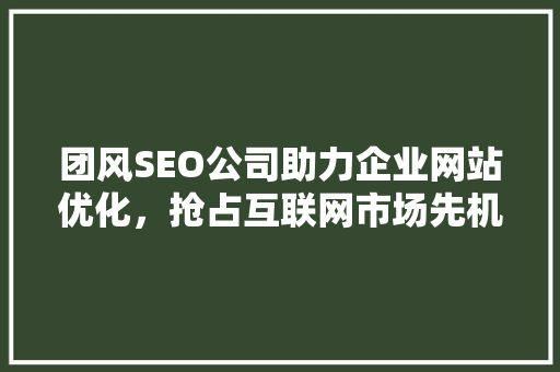 团风SEO公司助力企业网站优化，抢占互联网市场先机