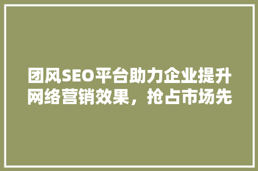 团风SEO平台助力企业提升网络营销效果，抢占市场先机