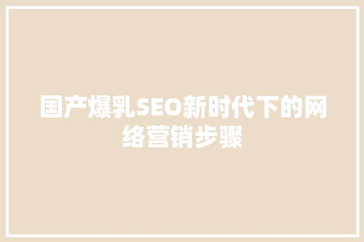 国产爆乳SEO新时代下的网络营销步骤