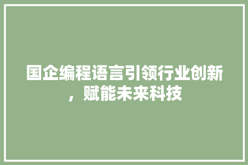 国企编程语言引领行业创新，赋能未来科技