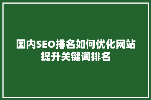 国内SEO排名如何优化网站提升关键词排名