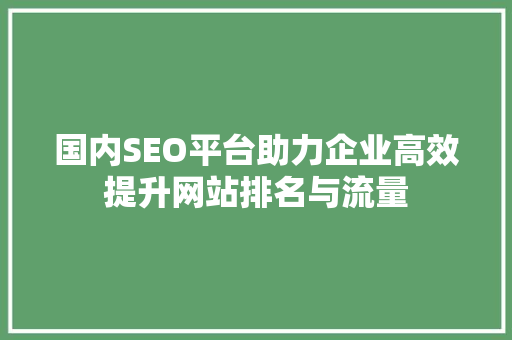 国内SEO平台助力企业高效提升网站排名与流量