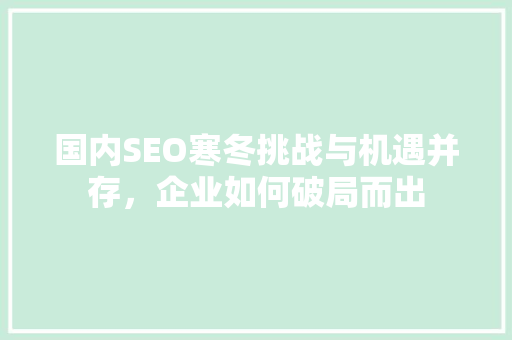 国内SEO寒冬挑战与机遇并存，企业如何破局而出