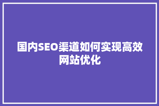 国内SEO渠道如何实现高效网站优化