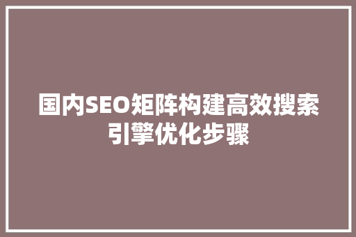国内SEO矩阵构建高效搜索引擎优化步骤