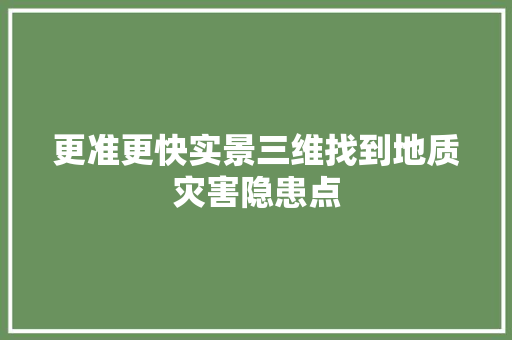 更准更快实景三维找到地质灾害隐患点